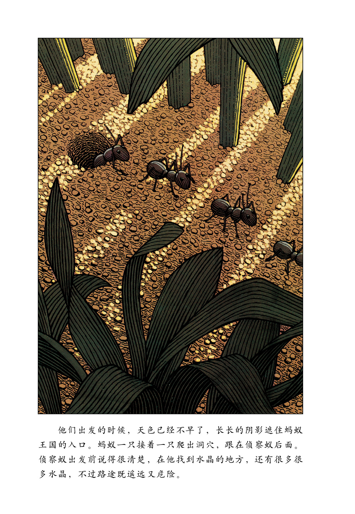 两只坏蚂蚁 (07),绘本,绘本故事,绘本阅读,故事书,童书,图画书,课外阅读